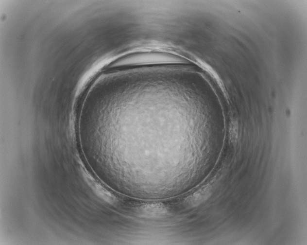 X0000087701464200705041051