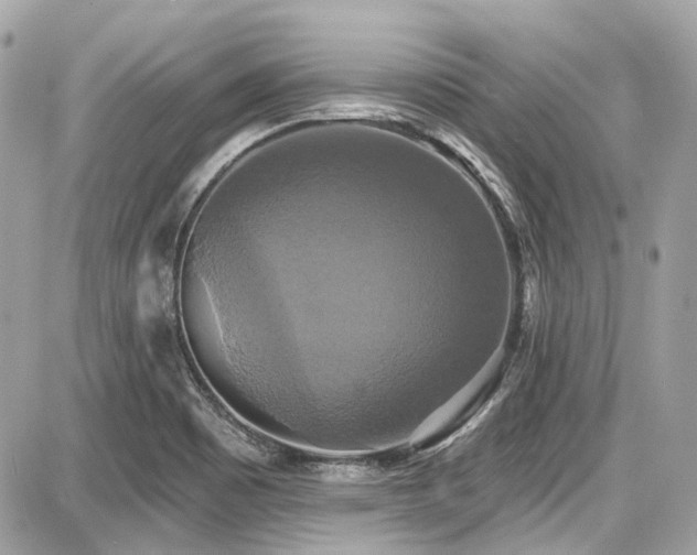 X0000087701465200705041051