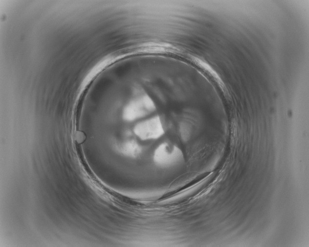 X0000087701467200705041051