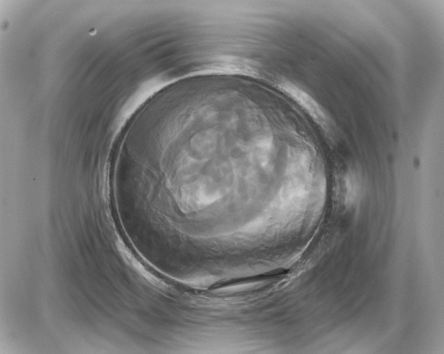 X0000087701468200705041051