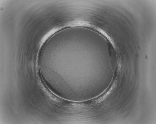 X0000087701469200705041051
