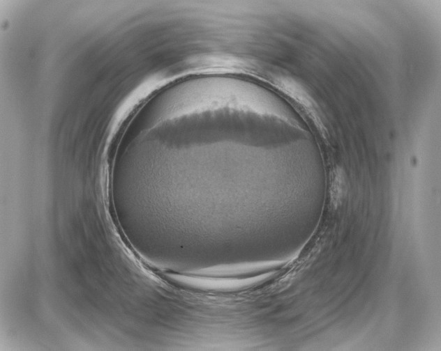 X0000087701472200705041050