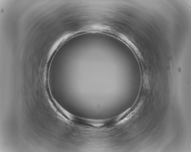 X0000087701477200705041050