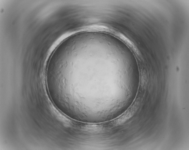 X0000087701478200705041050