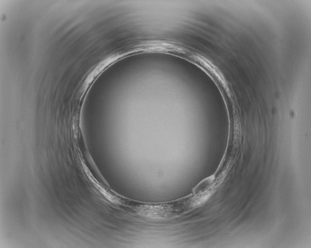 X0000087701481200705041050