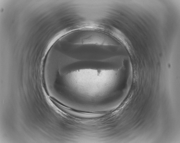 X0000087701483200705041050