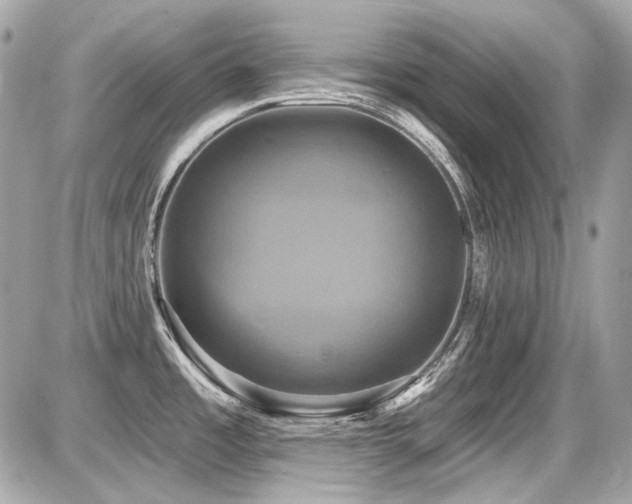 X0000087701485200705041050