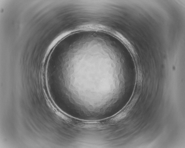 X0000087701486200705041050