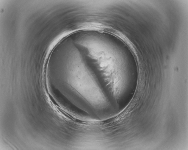 X0000087701488200705041050
