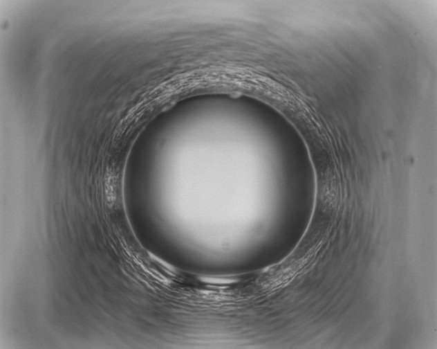 X0000087701490200705041049