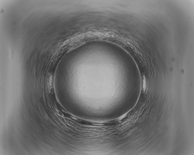 X0000087701492200705041049