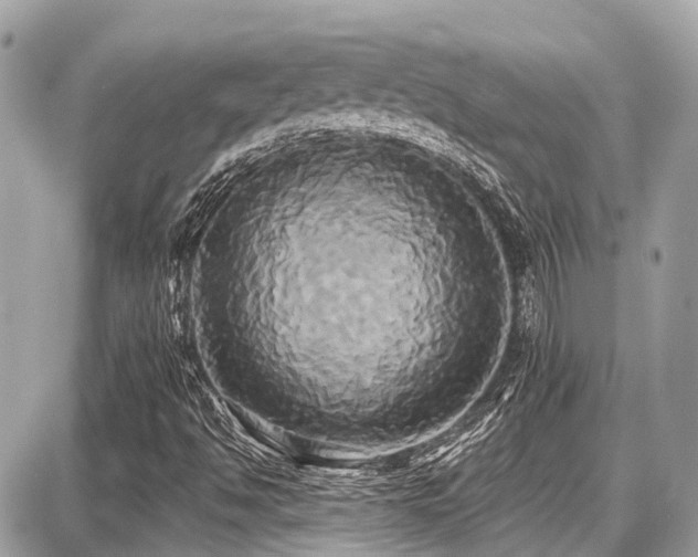 X0000087701494200705041049