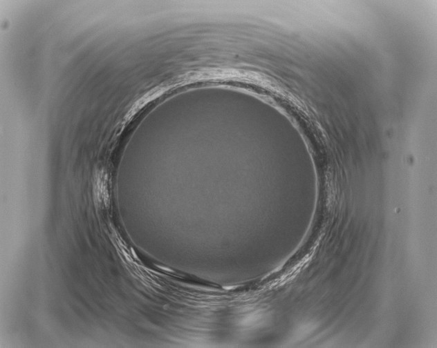 X0000087701497200705041050