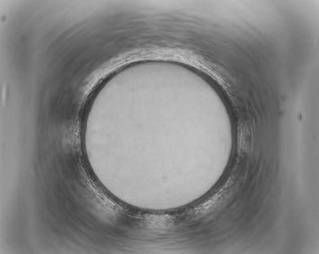 X0000087701498200705041050