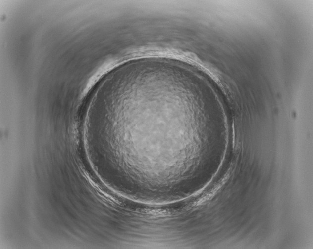 X0000087701501200705041050