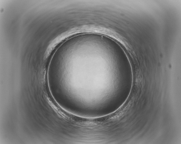 X0000087701507200705041050