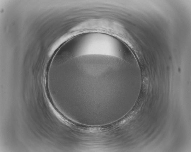 X0000087701523200705041050