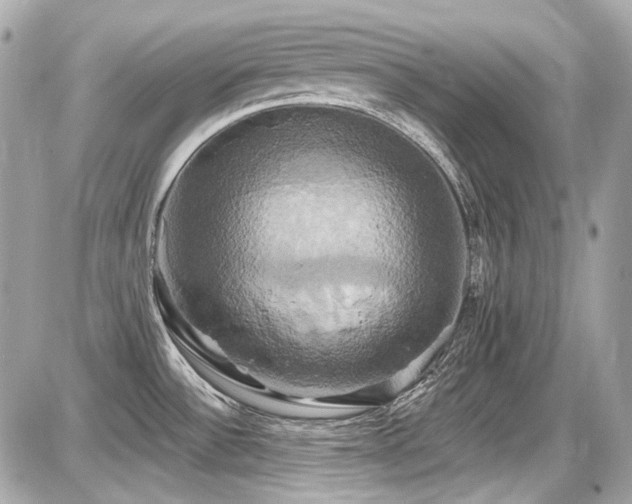 X0000087701532200705041050