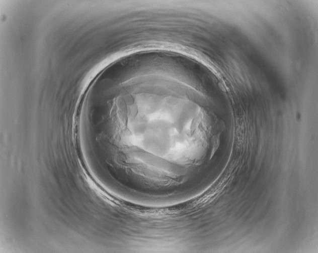 X0000087701535200705041050