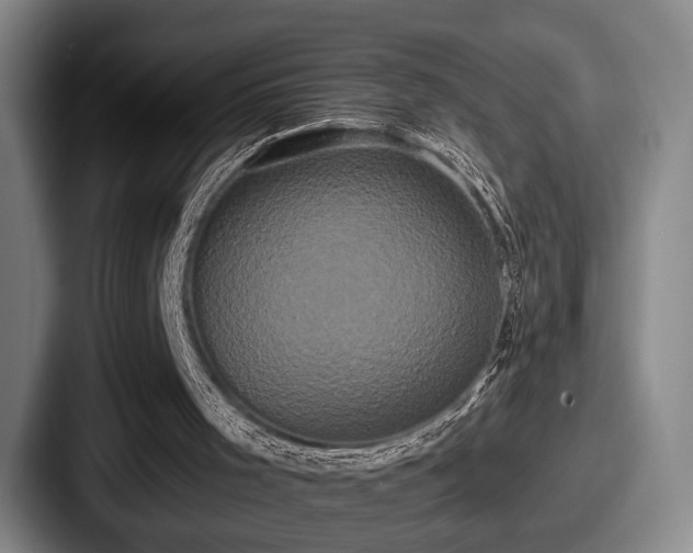 X0000087700001200705111411