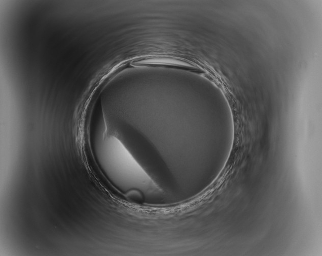 X0000087700002200705111411