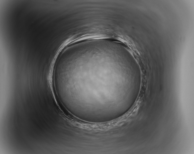 X0000087700003200705111411