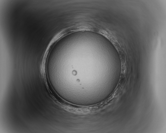 X0000087700004200705111411