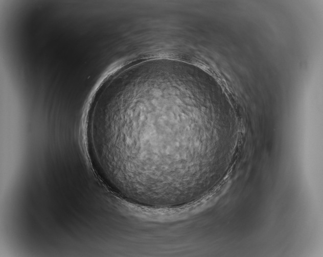 X0000087700006200705111411