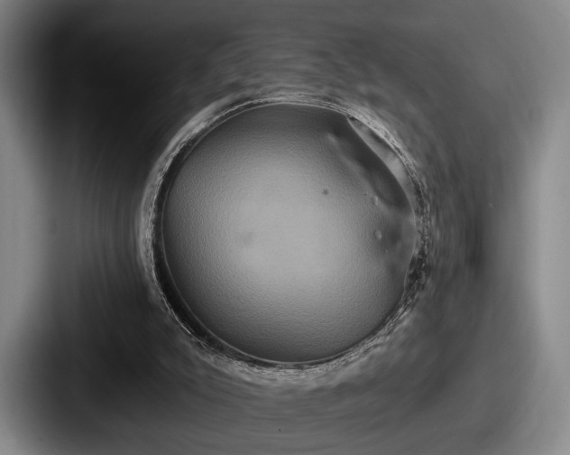 X0000087700007200705111411