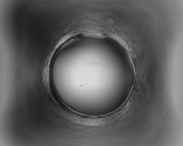 X0000087700008200705111411