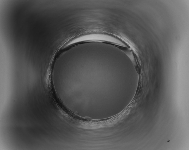 X0000087700009200705111411