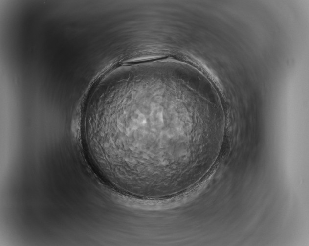 X0000087700010200705111411