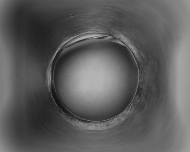 X0000087700011200705111411