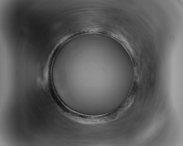 X0000087700012200705111411