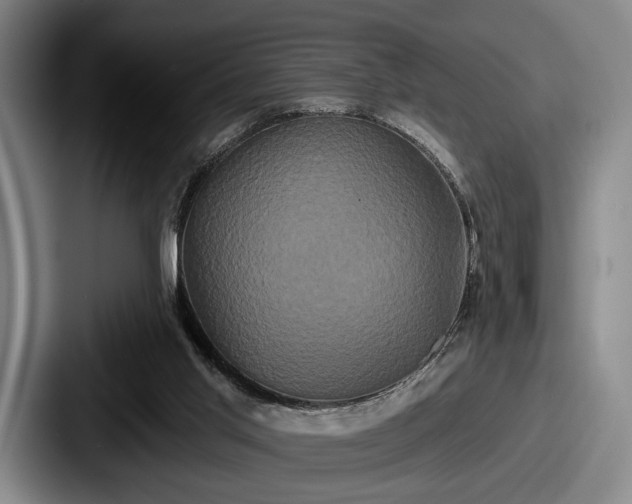 X0000087700013200705111411