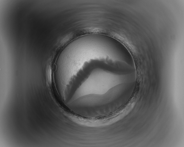 X0000087700014200705111411