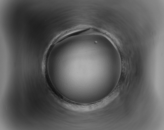 X0000087700015200705111411