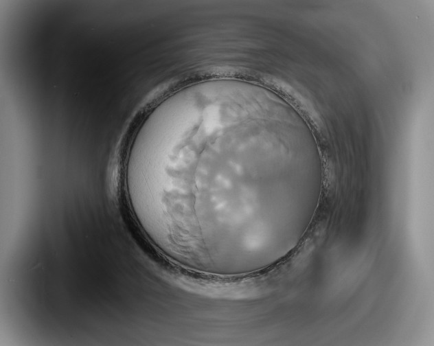 X0000087700016200705111411