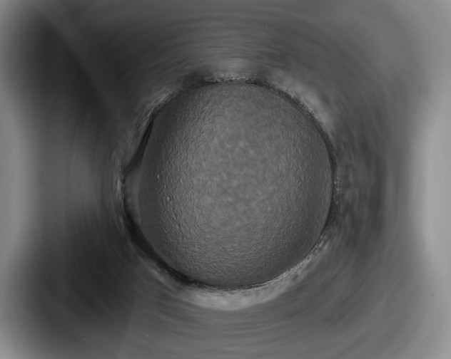 X0000087700017200705111411