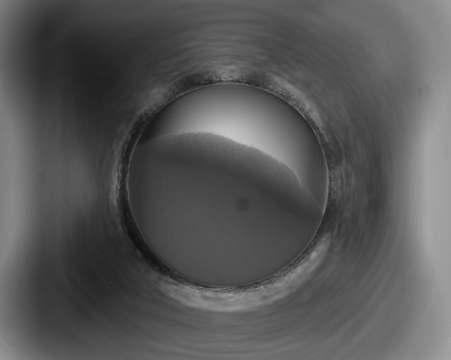 X0000087700018200705111411