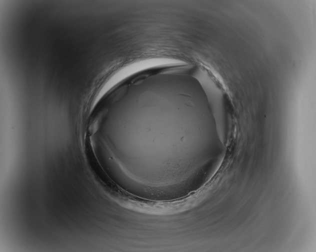 X0000087700019200705111411