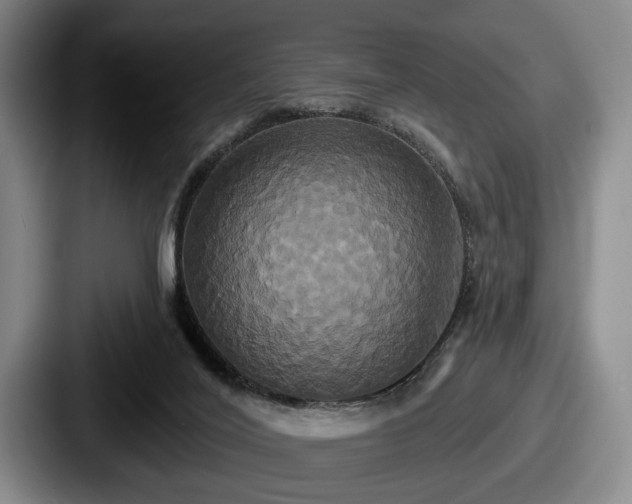 X0000087700020200705111411