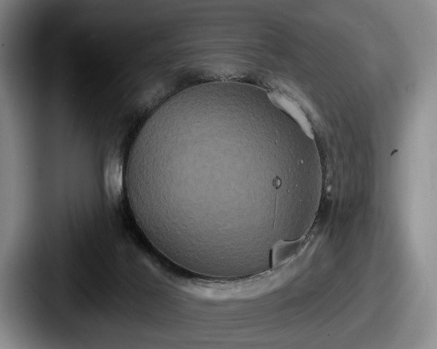 X0000087700021200705111411