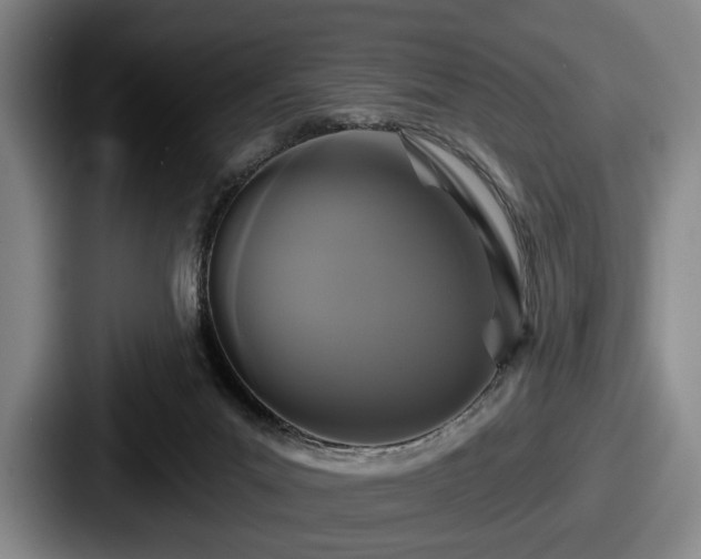 X0000087700023200705111411