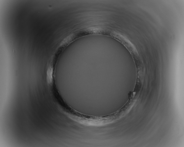 X0000087700024200705111411