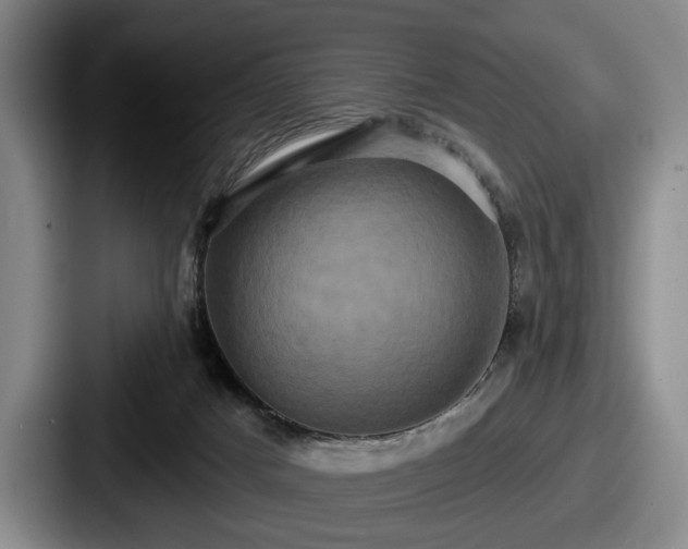 X0000087700025200705111411