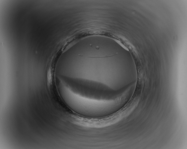 X0000087700026200705111411