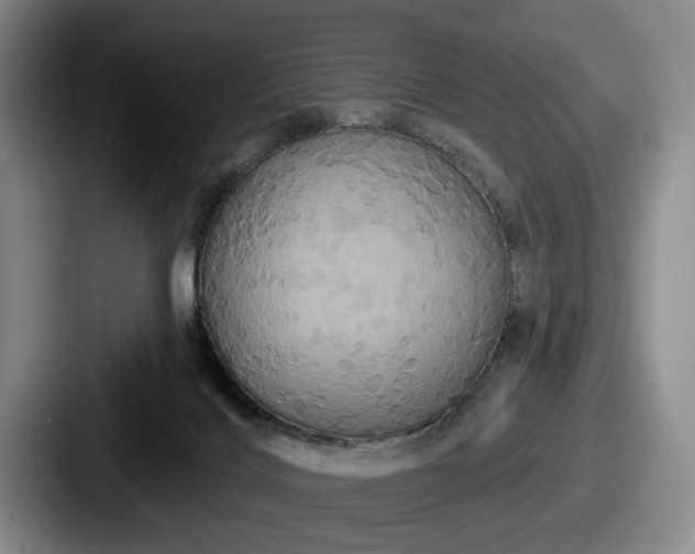 X0000087700028200705111411