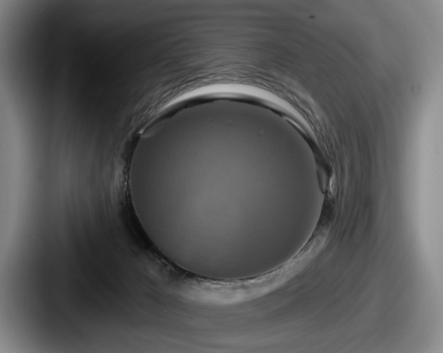 X0000087700029200705111411