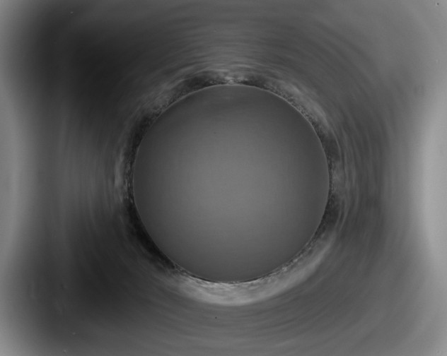 X0000087700030200705111411